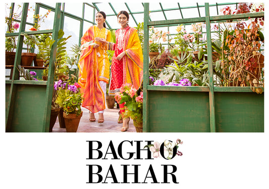 Lawn Collection 2020